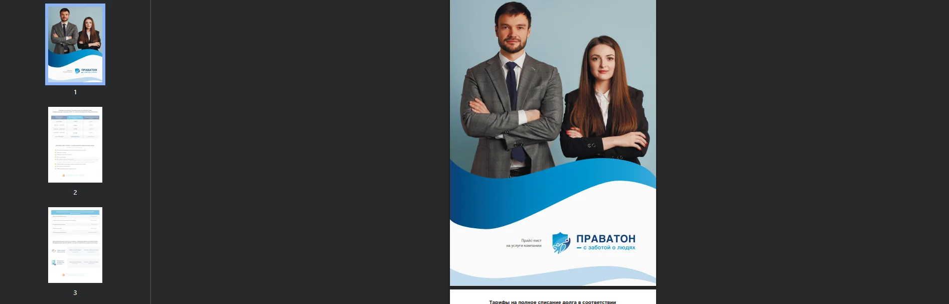 пример бренд-бука праватон